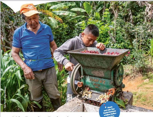 Alexis, der Junge vom Misereor-Poster, beim Bearbeiten der Kaffeekirschen